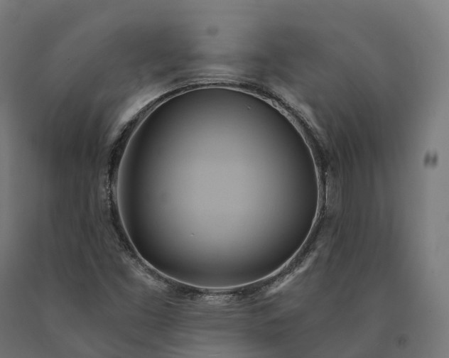 X0000090781453200708031704