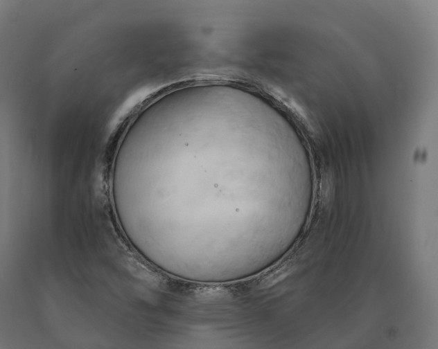 X0000090781454200708031704