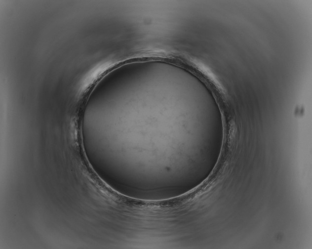 X0000090781455200708031704