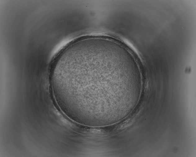 X0000090781456200708031704