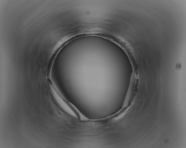 X0000090781457200708031704