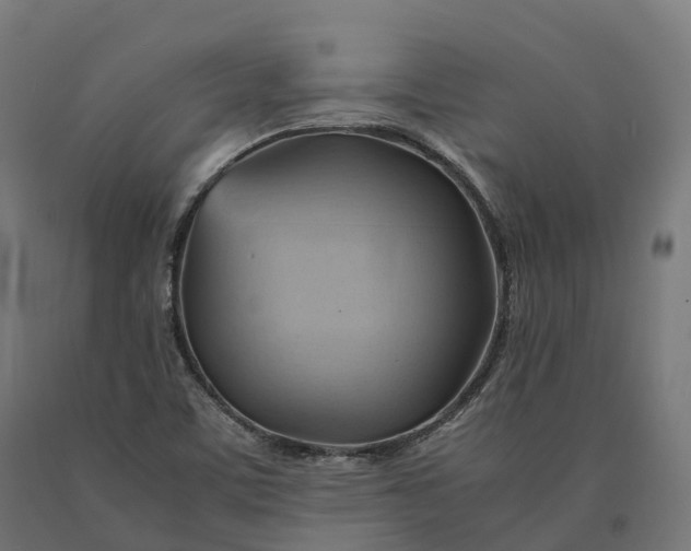 X0000090781459200708031704