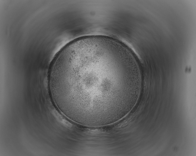 X0000090781460200708031704