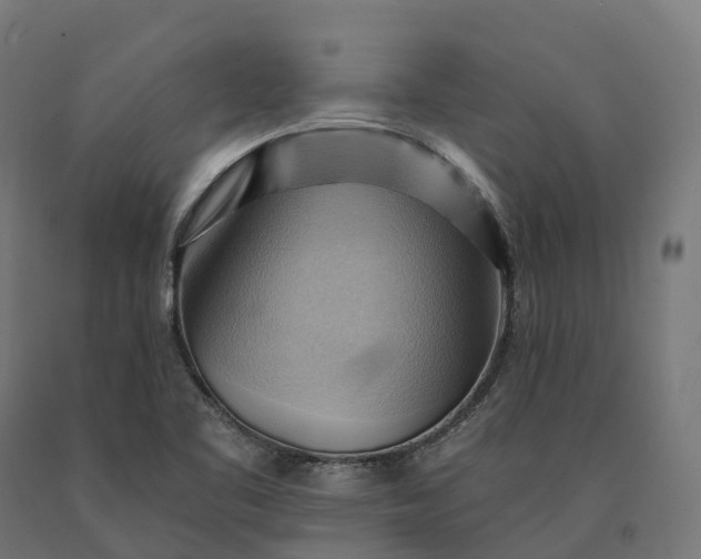 X0000090781461200708031704