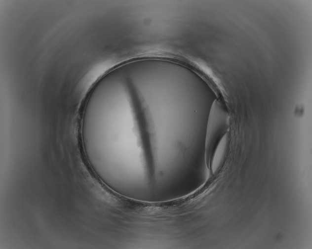 X0000090781463200708031704