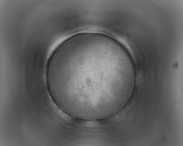 X0000090781464200708031704