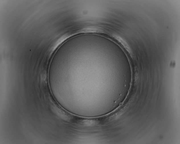 X0000090781465200708031704