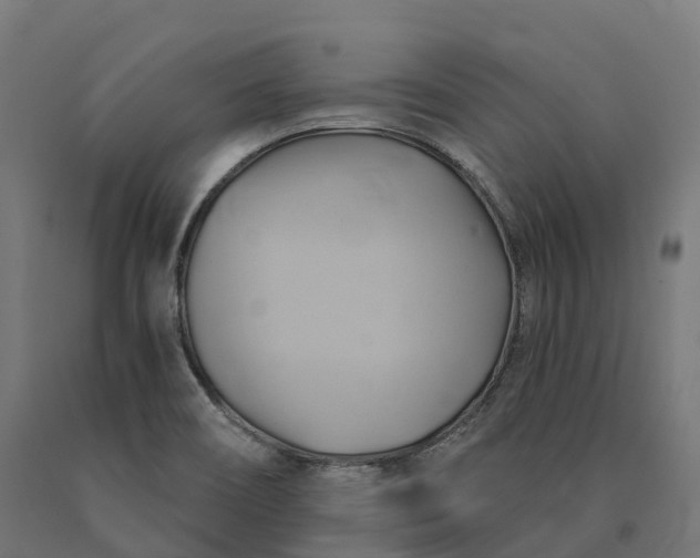X0000090781466200708031704