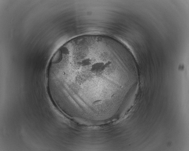 X0000090781467200708031704