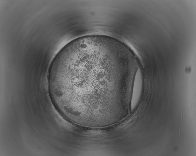 X0000090781468200708031704