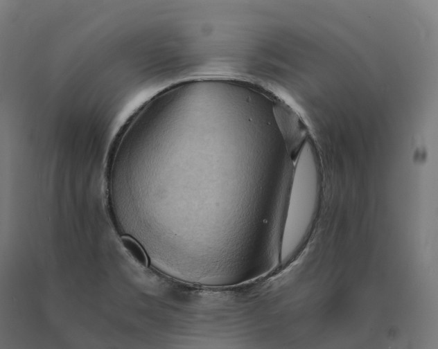 X0000090781469200708031704