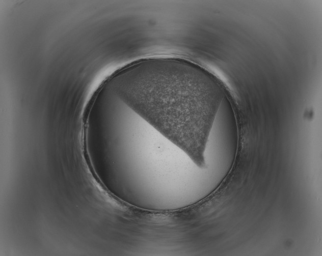 X0000090781472200708031704