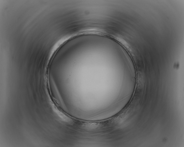 X0000090781474200708031704
