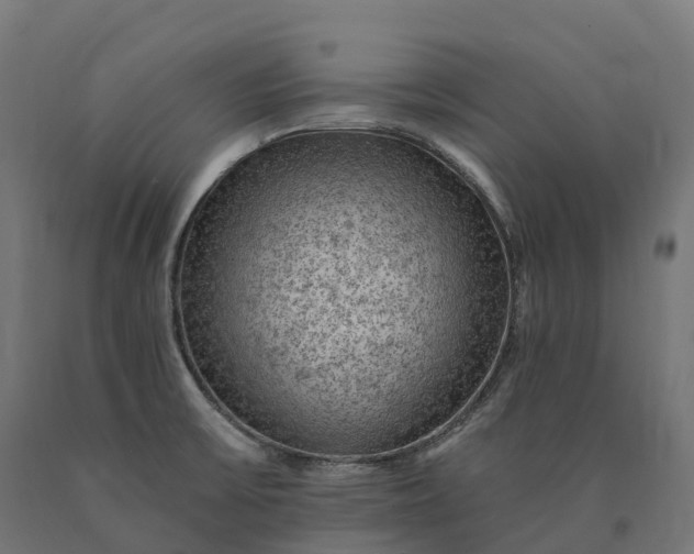X0000090781475200708031704
