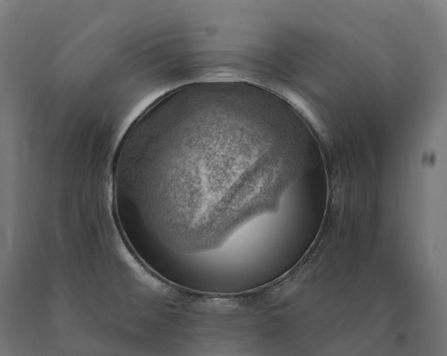 X0000090781476200708031704