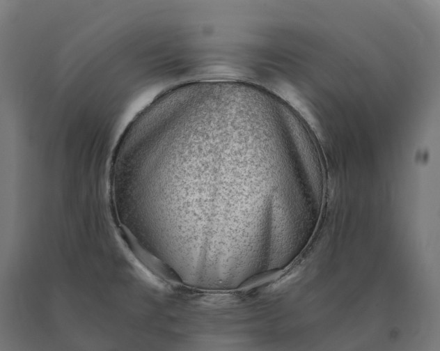 X0000090781477200708031704