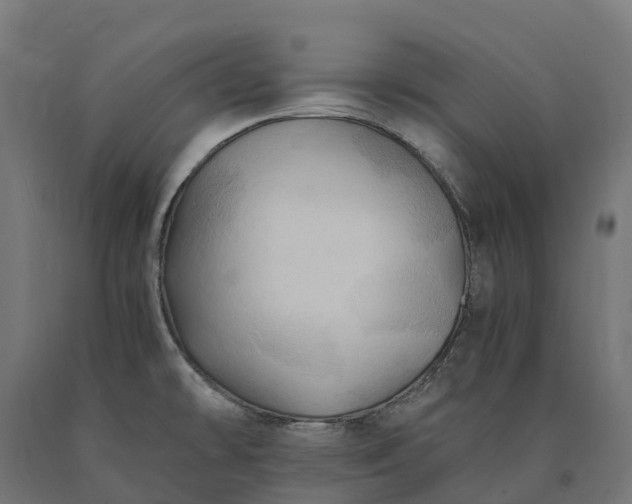 X0000090781478200708031704