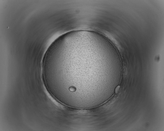 X0000090781479200708031704