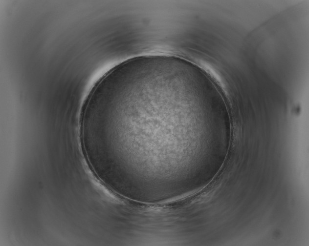 X0000090781480200708031704