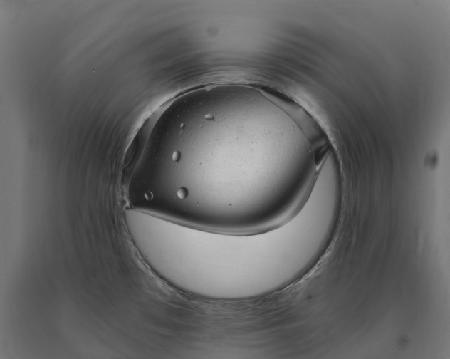 X0000090781481200708031704