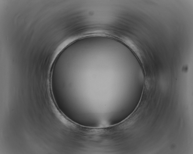 X0000090781482200708031704