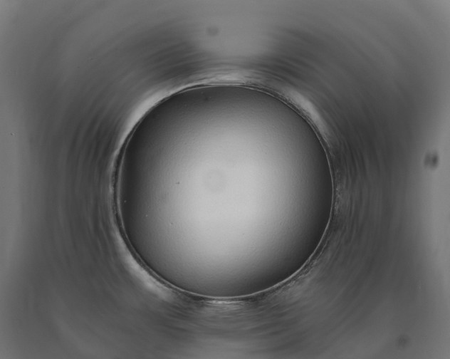 X0000090781483200708031704