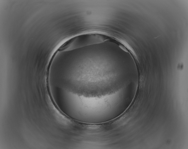 X0000090781484200708031704