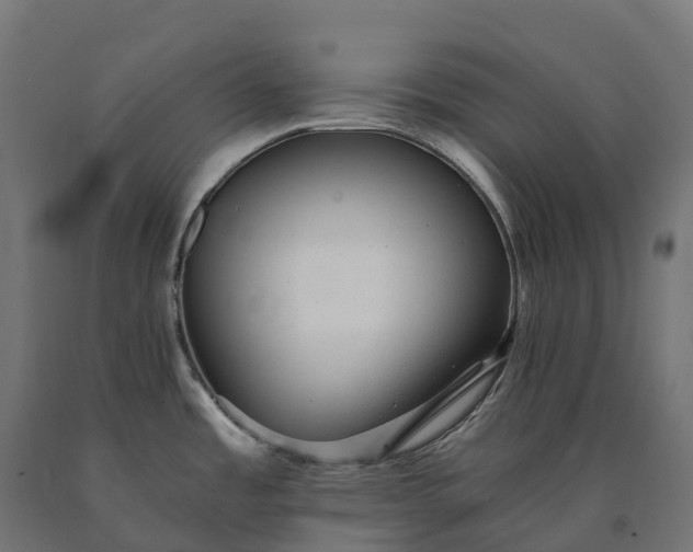 X0000090781485200708031704