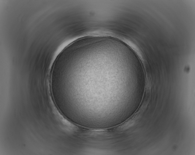X0000090781486200708031704