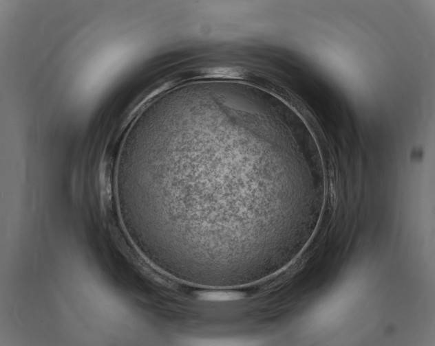 X0000090781487200708031704
