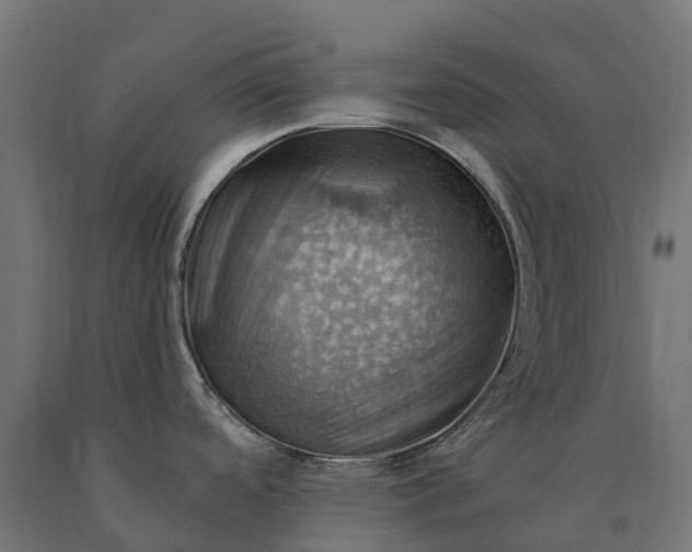 X0000090781488200708031704