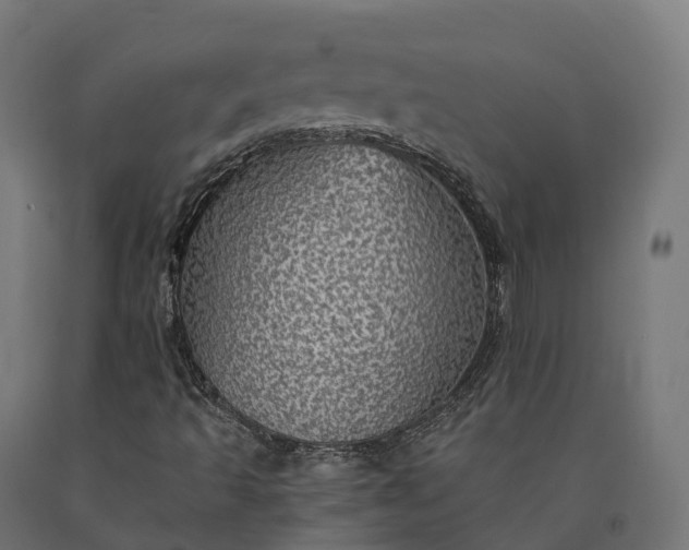 X0000090781493200708031703