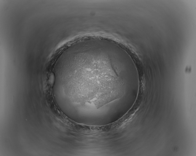 X0000090781494200708031703
