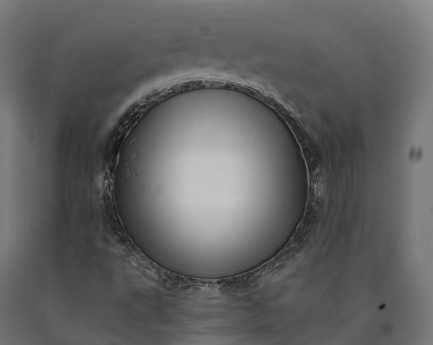 X0000090781495200708031703