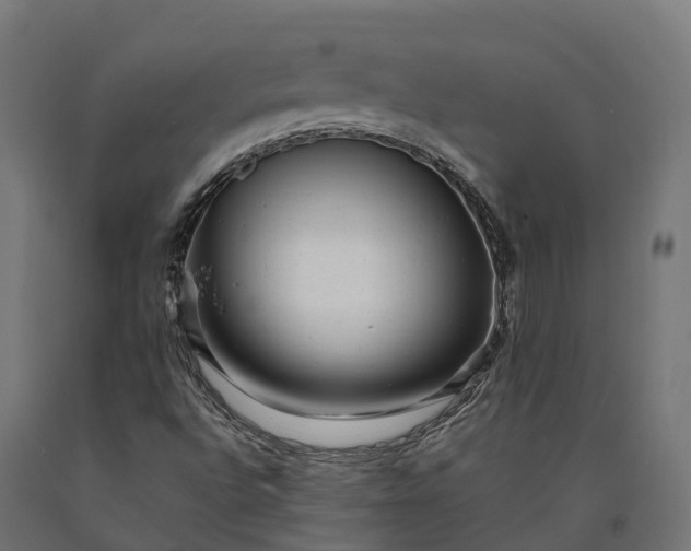 X0000090781496200708031703