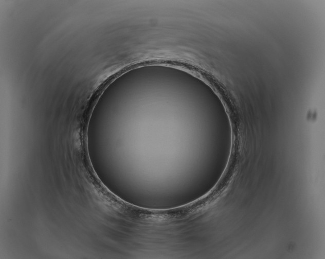 X0000090781497200708031703