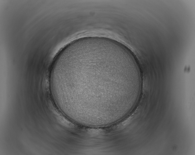 X0000090781498200708031703