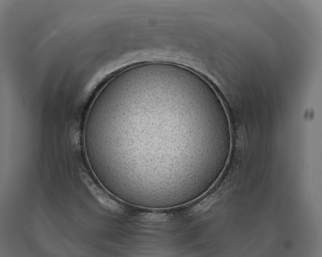 X0000090781499200708031703