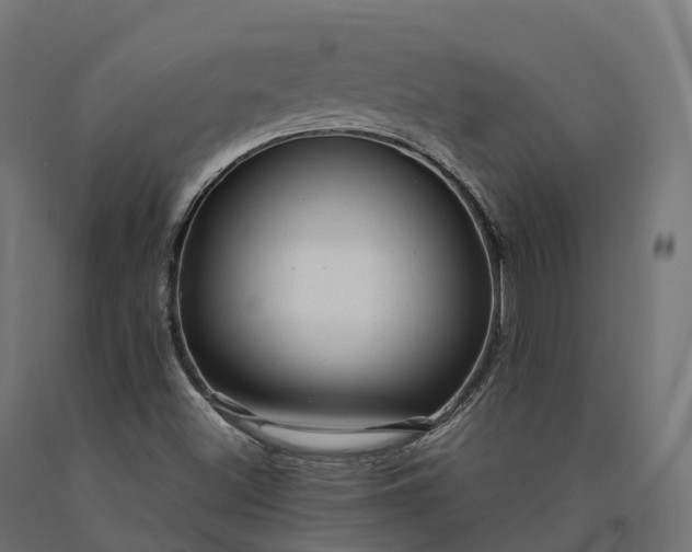 X0000090781500200708031703