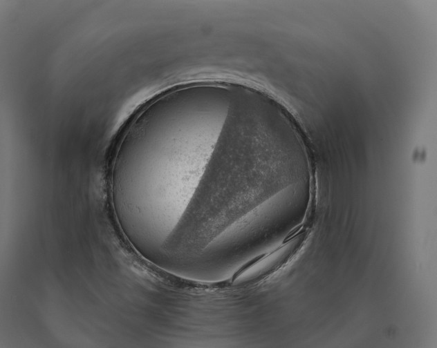X0000090781501200708031703