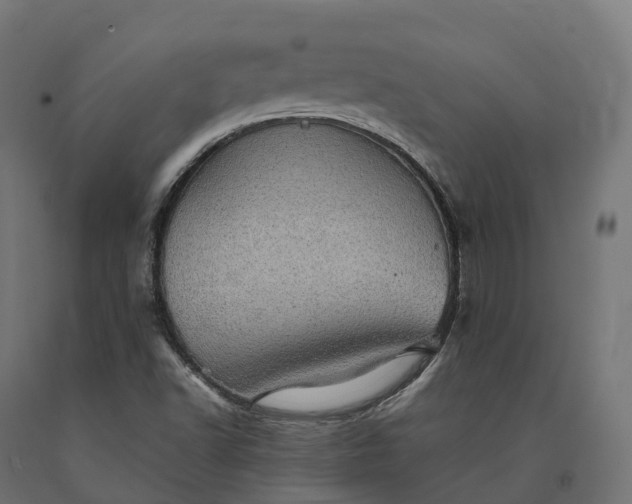 X0000090781502200708031703