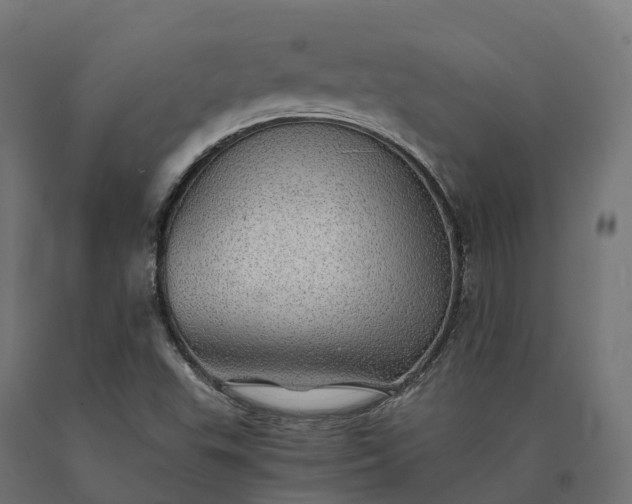X0000090781503200708031703