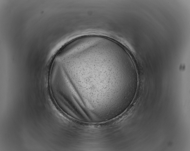 X0000090781504200708031703