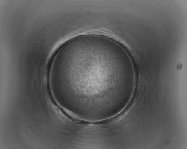 X0000090781506200708031703