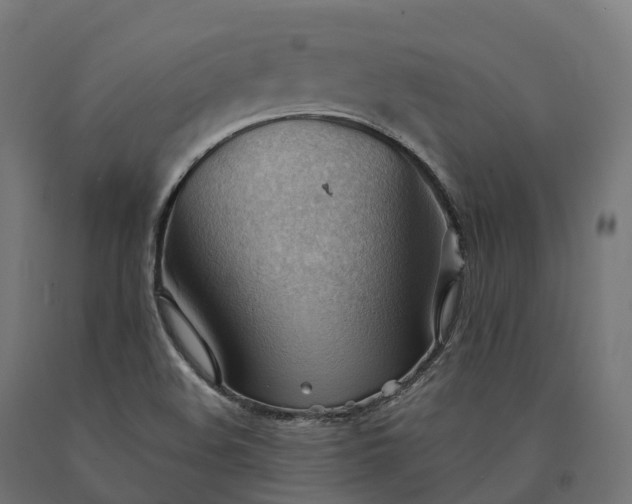 X0000090781508200708031703