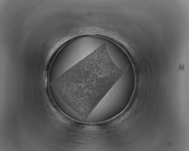 X0000090781509200708031703