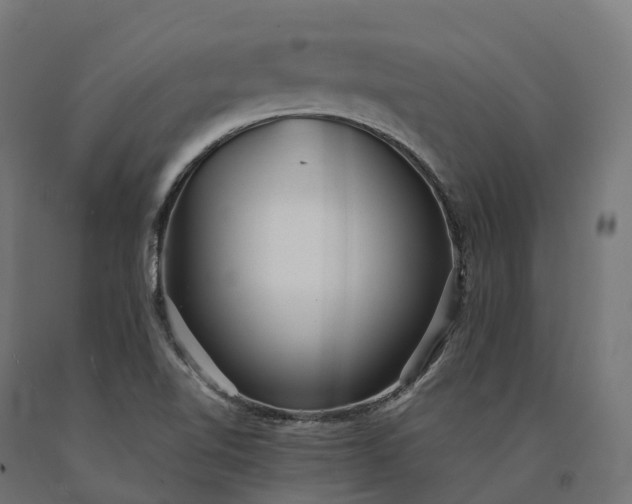X0000090781510200708031703