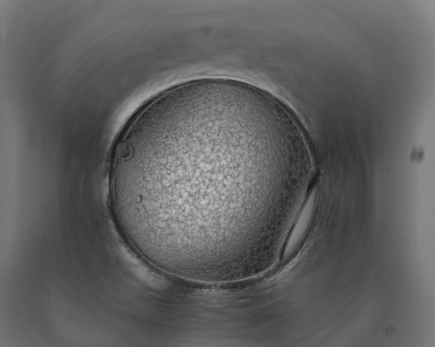 X0000090781511200708031703