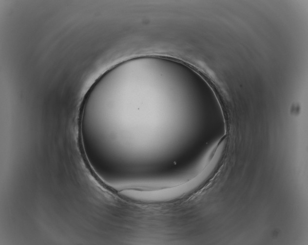 X0000090781512200708031703