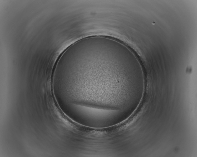 X0000090781513200708031703